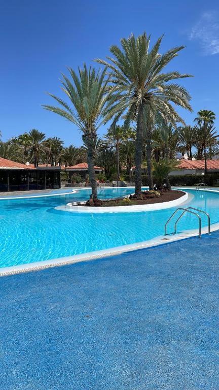 Sun Club Luxus Bungalow Projecto 65 Maspalomas  Kültér fotó
