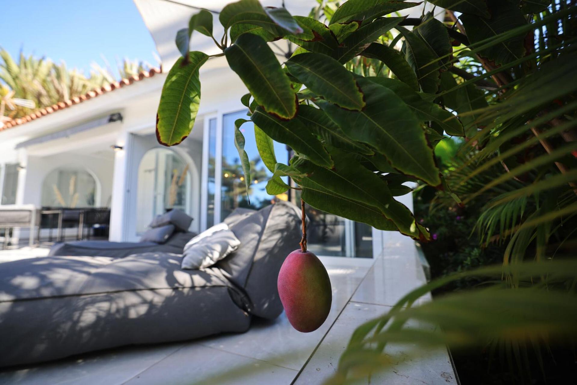 Sun Club Luxus Bungalow Projecto 65 Maspalomas  Kültér fotó